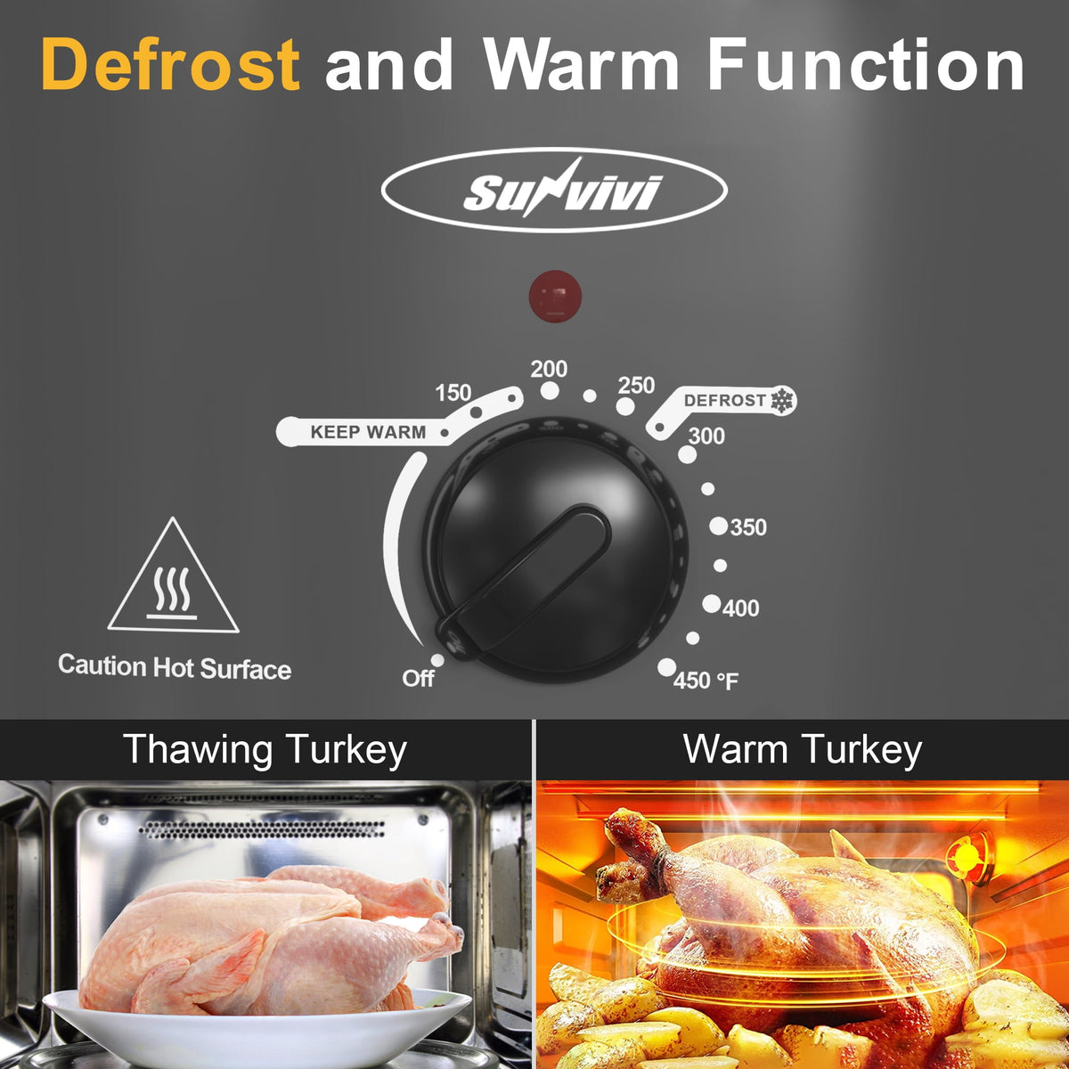 Royalcraft Roaster Oven with Self-Basting Lid, 8qt Electric Roaster with Removable Pan & Rack, Turkey Roaster Oven with Defrost & Warm Function, Stainless Steel, Grey