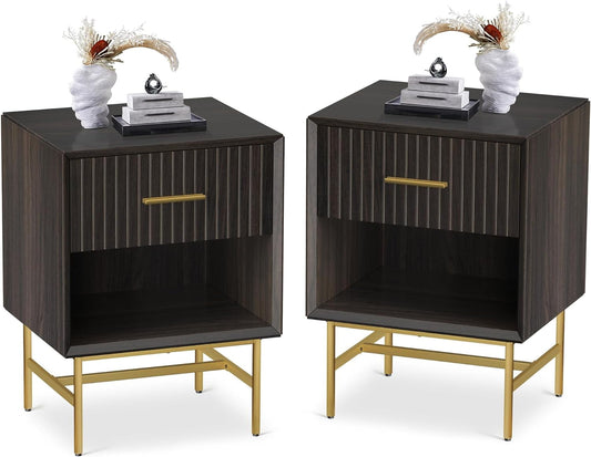 RoyalCraft Nightstands Set of 2, Wood Side Table with Drawer, 2-Tier End Table with Adjustable Feet and Metal Leg, Modern Night Stands Cabinet for Bedroom, Living Room, Home Office, Charcoal Walnut